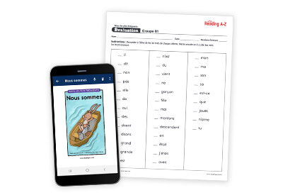 French High-Frequency Word Books and Assessments